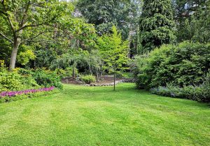 Optimiser l'expérience du jardin à Notre-Dame-de-Bondeville